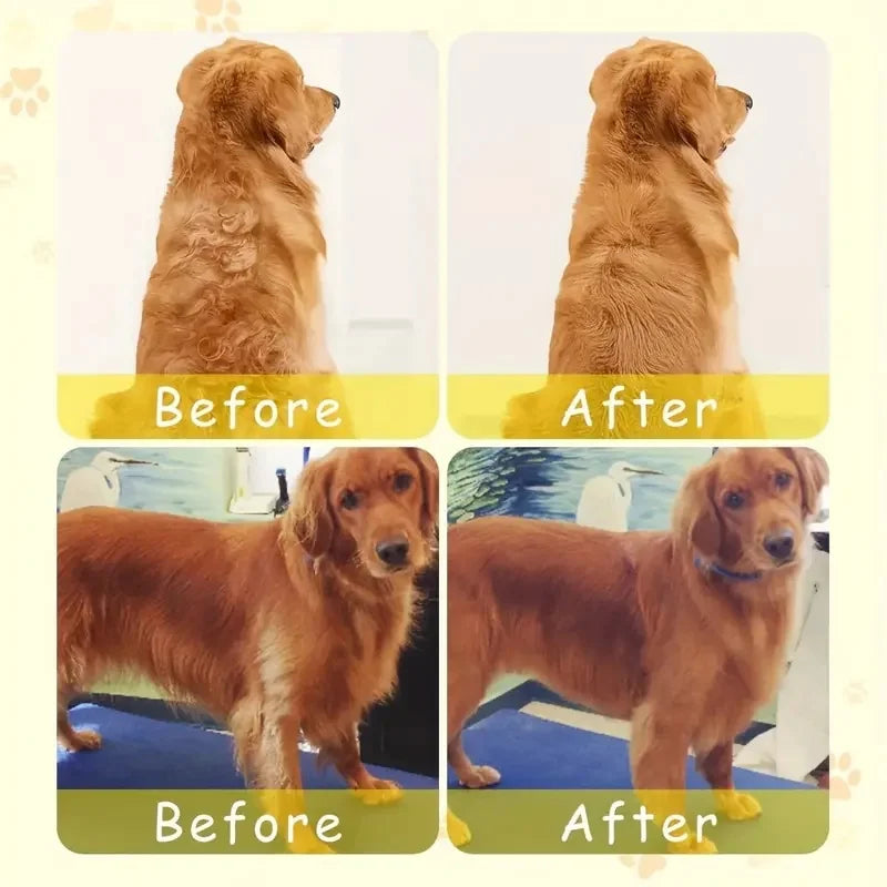 Steamy Dog  and Cat Brush Electric Spray Cat Hair Brush 3 In1 Dog Steamer Brush for Massage Pet Grooming Removing Tangled and Loose Hair